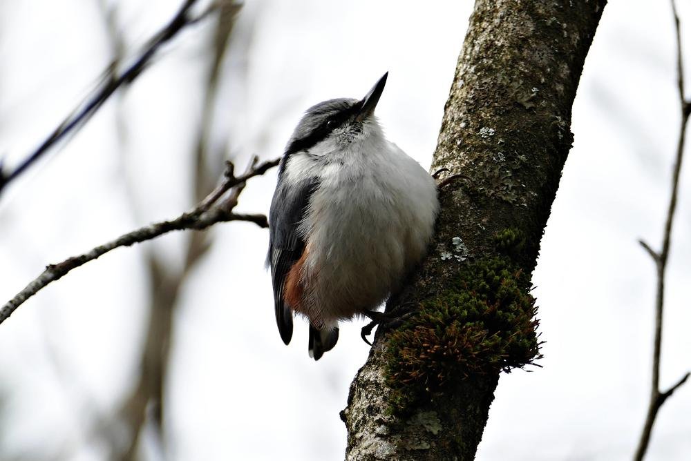 Photograph by Dmitry Lysenko