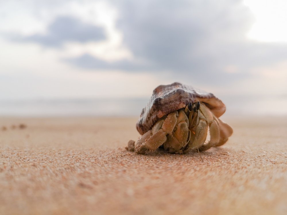 Photograph by Денис Семенов