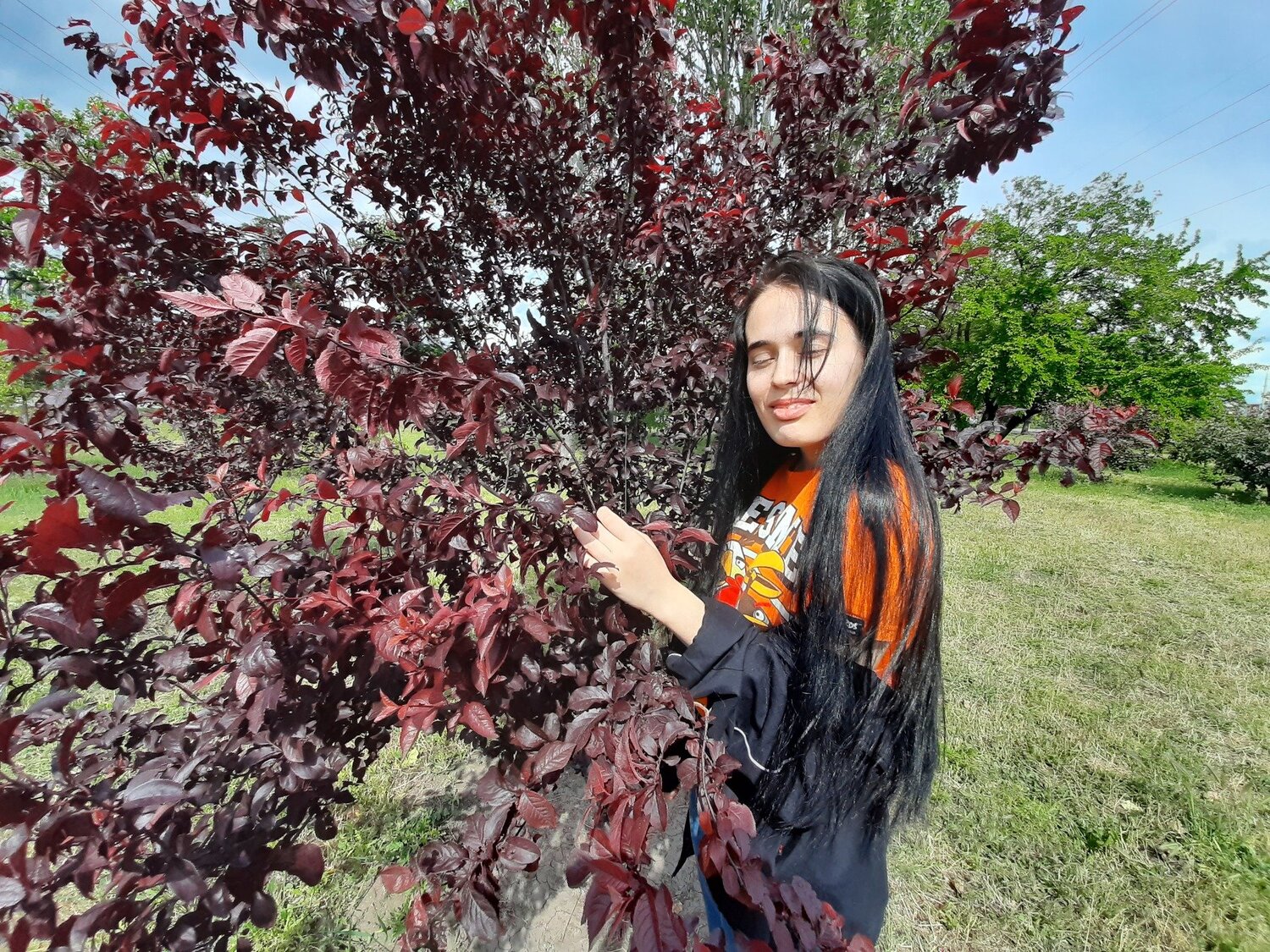 Photo #4924838