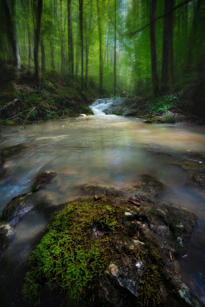 Photograph by Александр Орнатский