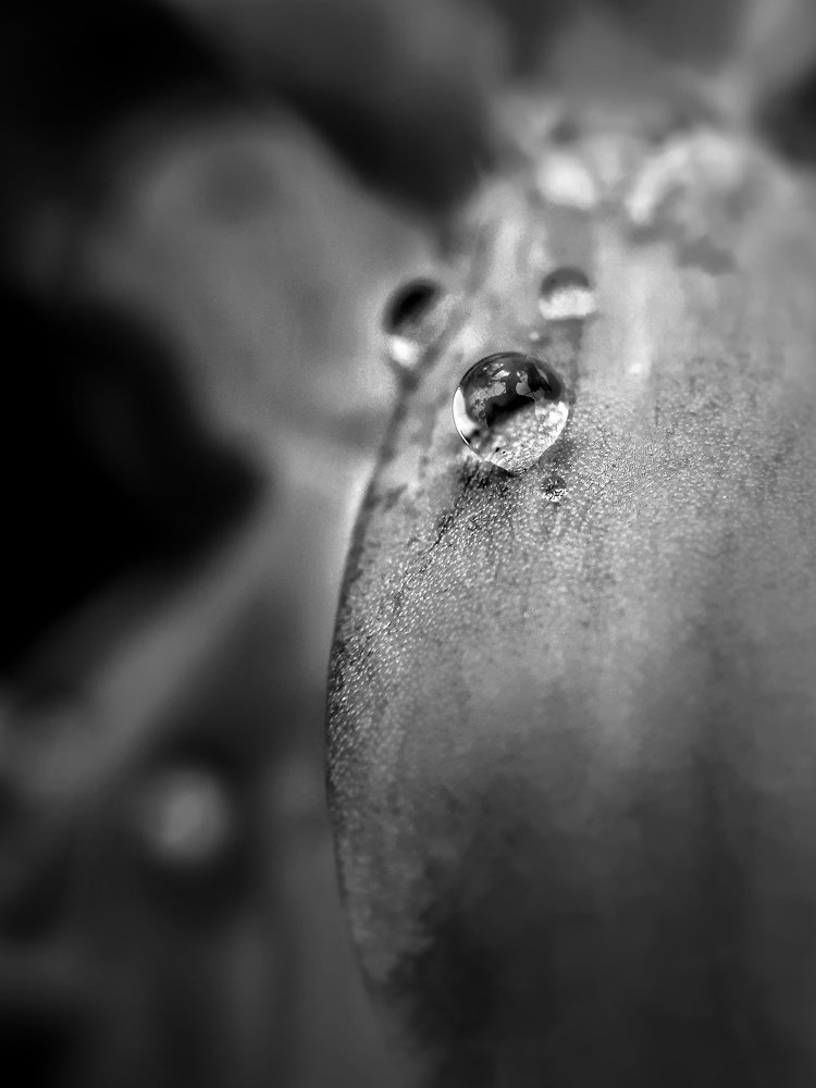 Photograph by Пётр Селетков