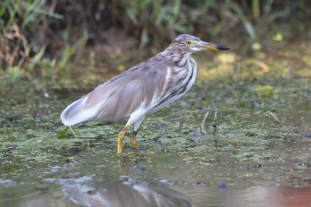Photograph by Александр Юдин