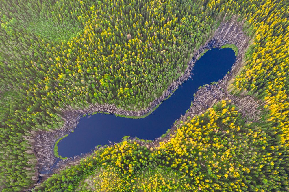 Photograph by Денис Семенов