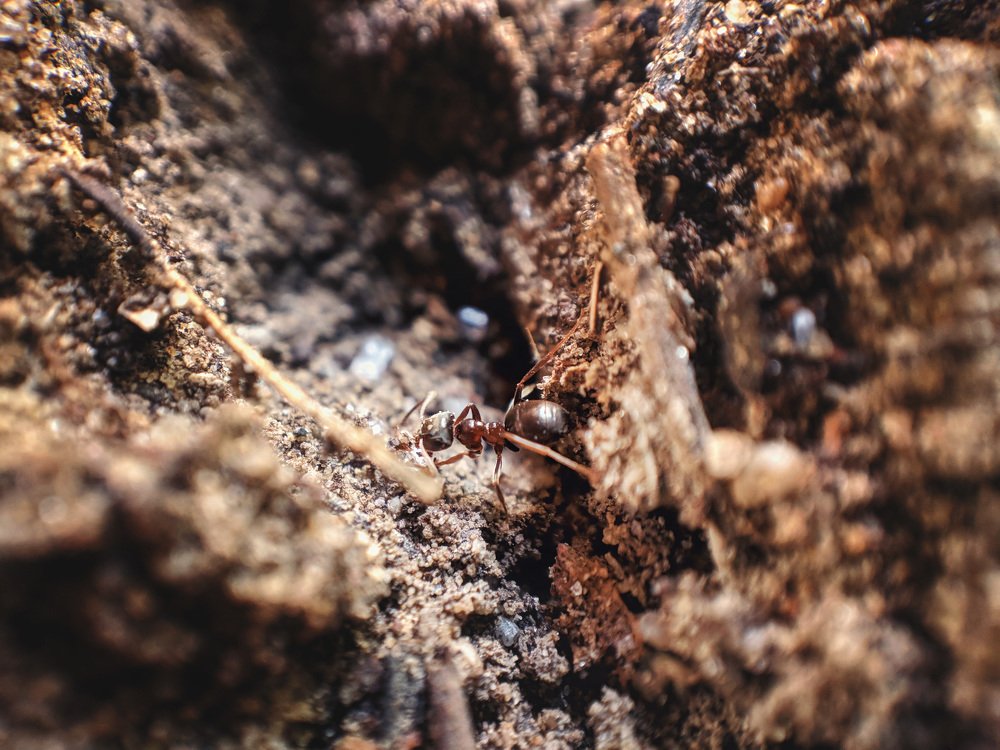 Photograph by Алексей и Юлия Дарьины