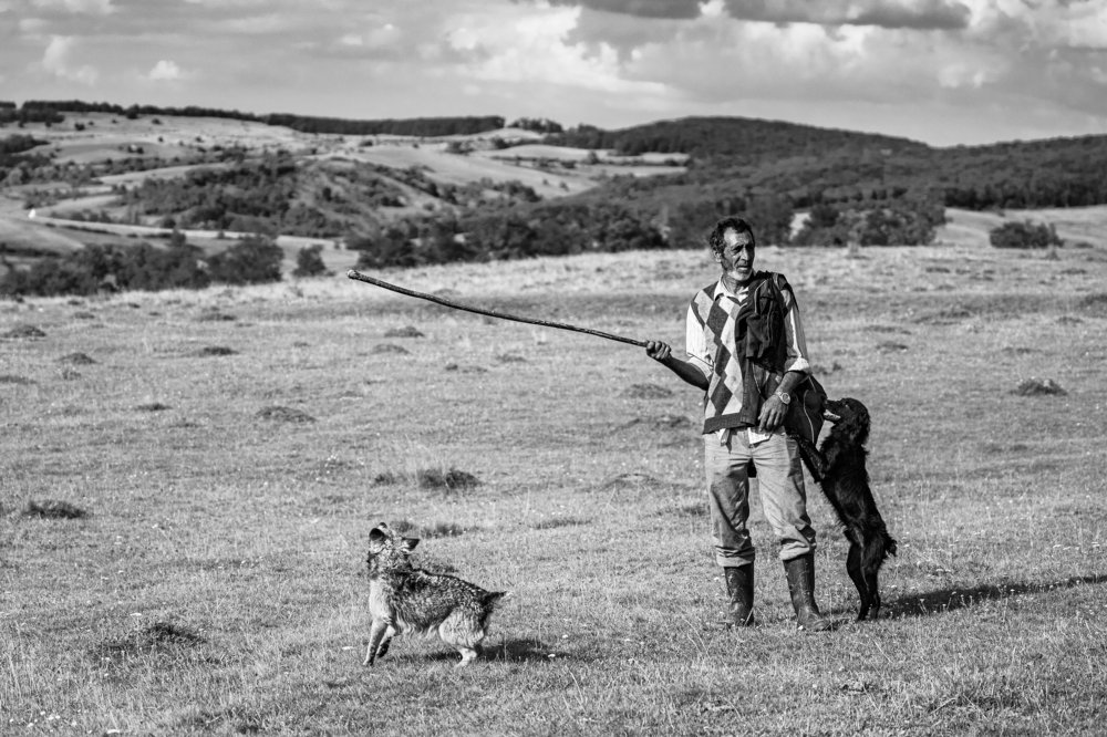 Photograph by Adrian Grigore