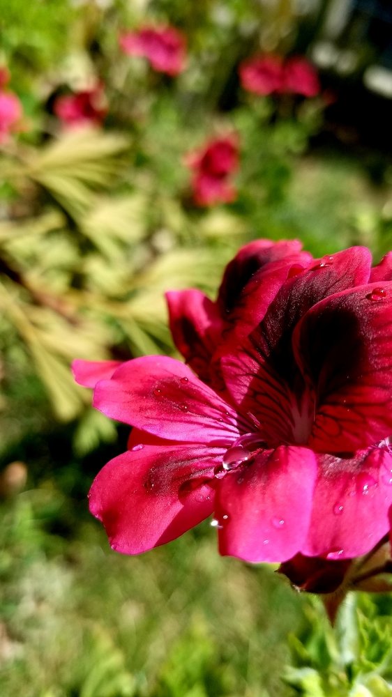 Photograph by Shahd Al-Shoeibi