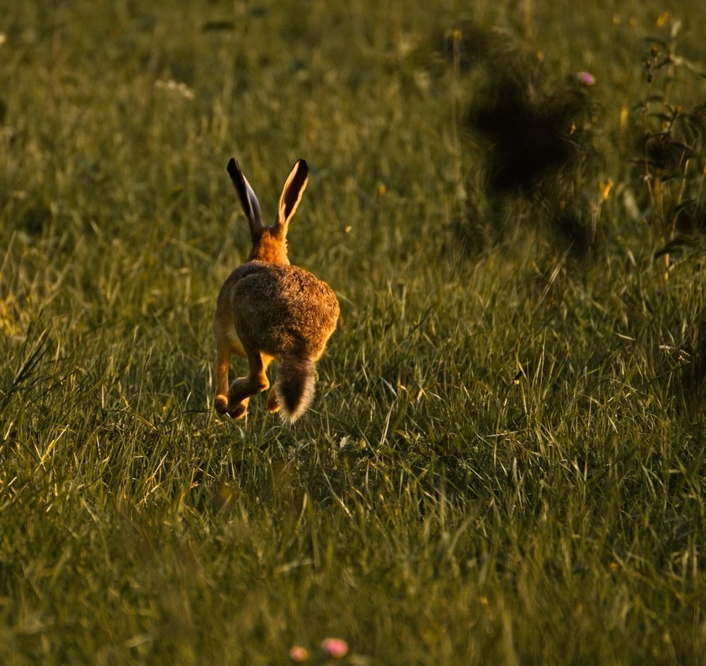Photograph by Iwona Sowińska-Fruhtrunk