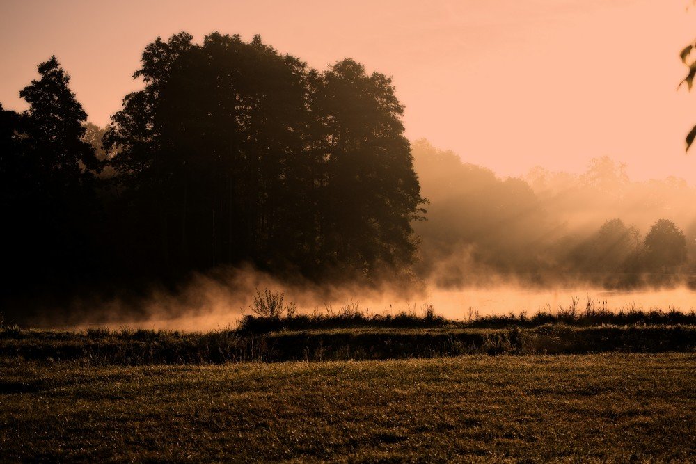 Photograph by Iwona Sowińska-Fruhtrunk