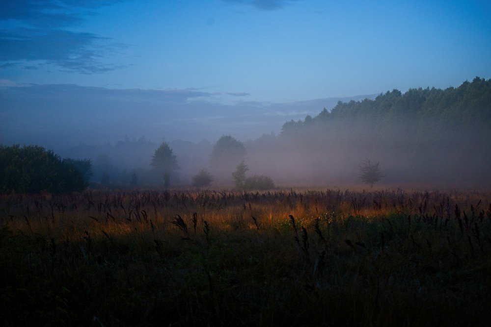 Photograph by Iwona Sowińska-Fruhtrunk