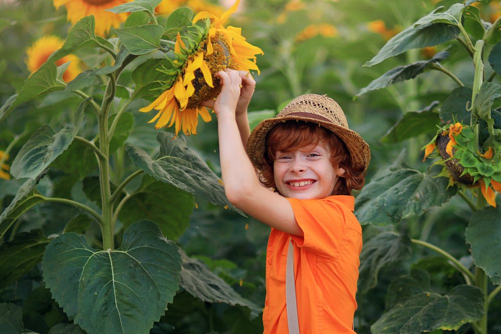 Photograph by Склярова Анастасия