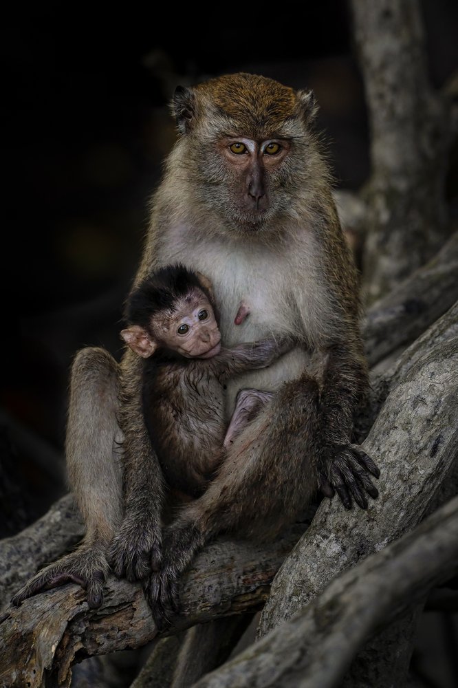 Photograph by Yean Chon Yaw