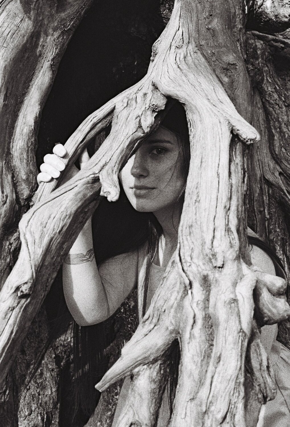 Photo #4925097