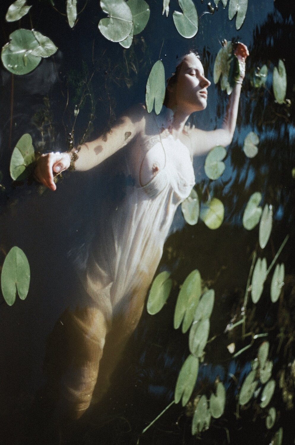 Photo #4925110
