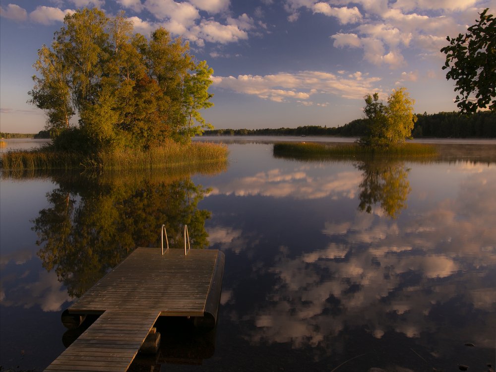 К осени на перепутье