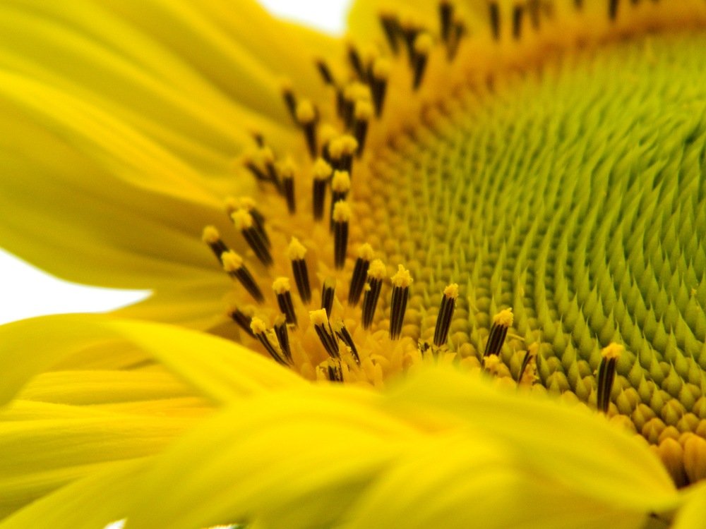 Photograph by Никитина Анна