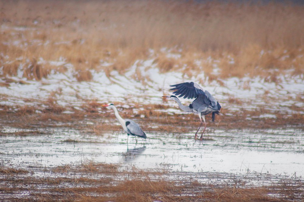 Photograph by Маргарита Федурина