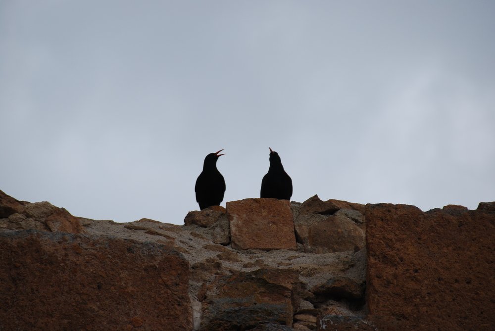 Фотография автора Ashik Hovhannisyan