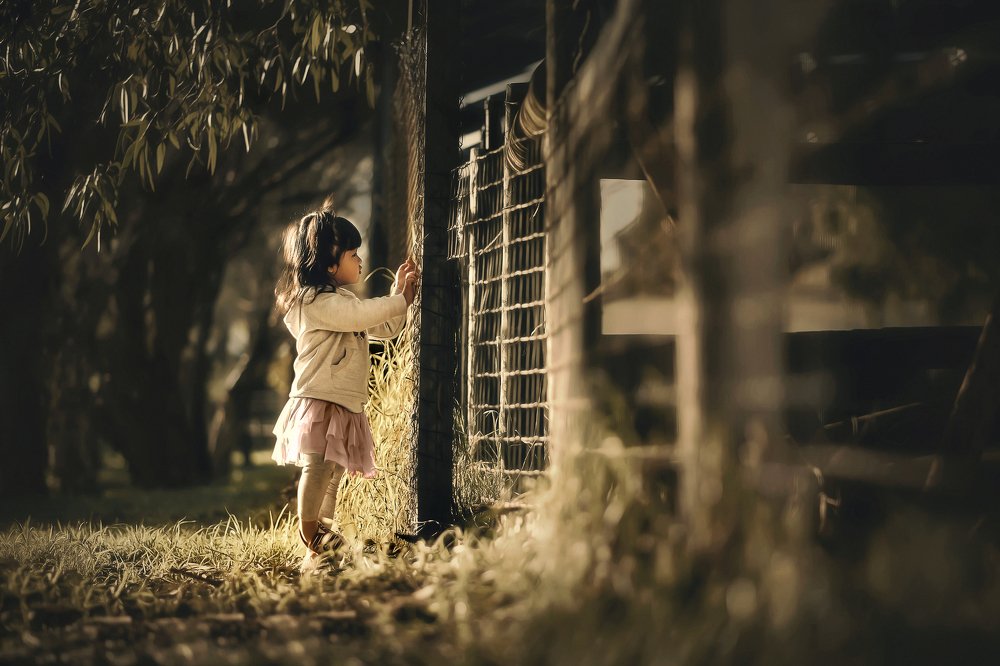 Photograph by Despird Zhang