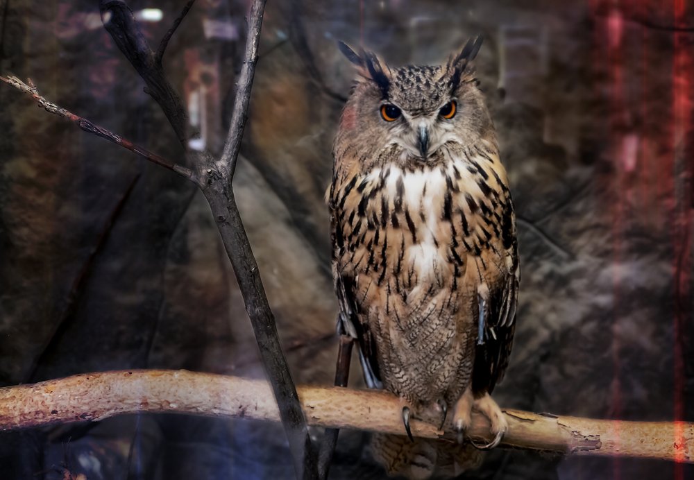 Photograph by Александр Шипиленко