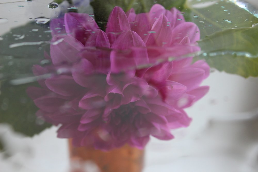 Photograph by Татьяна Решетова