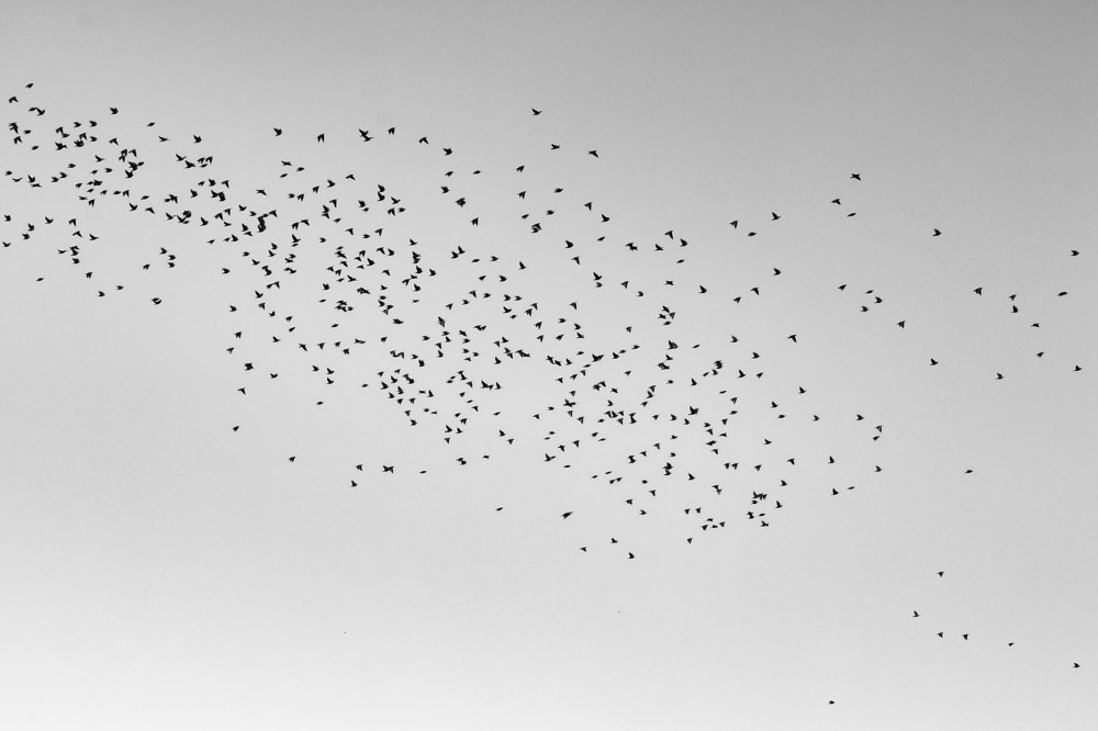 Photograph by Darja Akakjeva