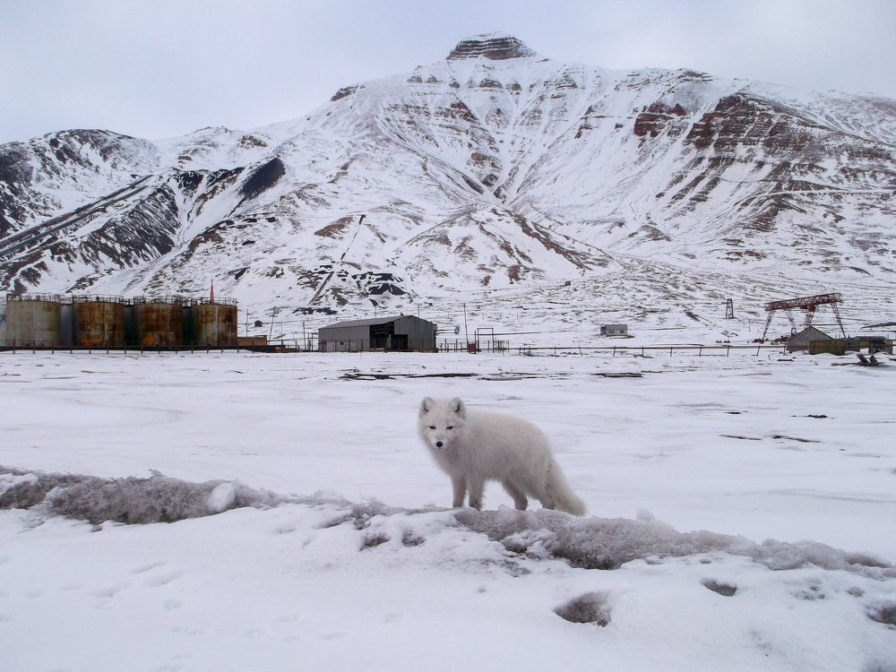 Photograph by Maksym Kolenkov