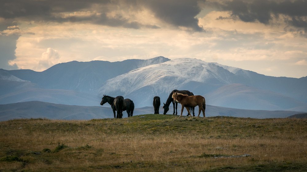 Photograph by Владимир Козьяков