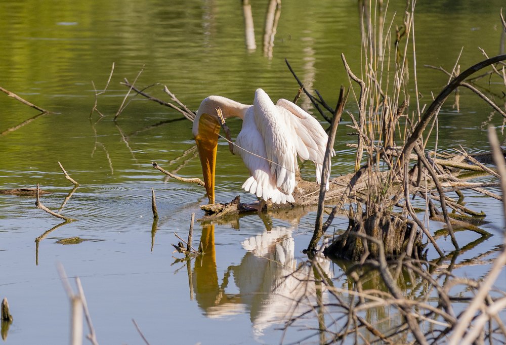 Photograph by Яна Толмачёва
