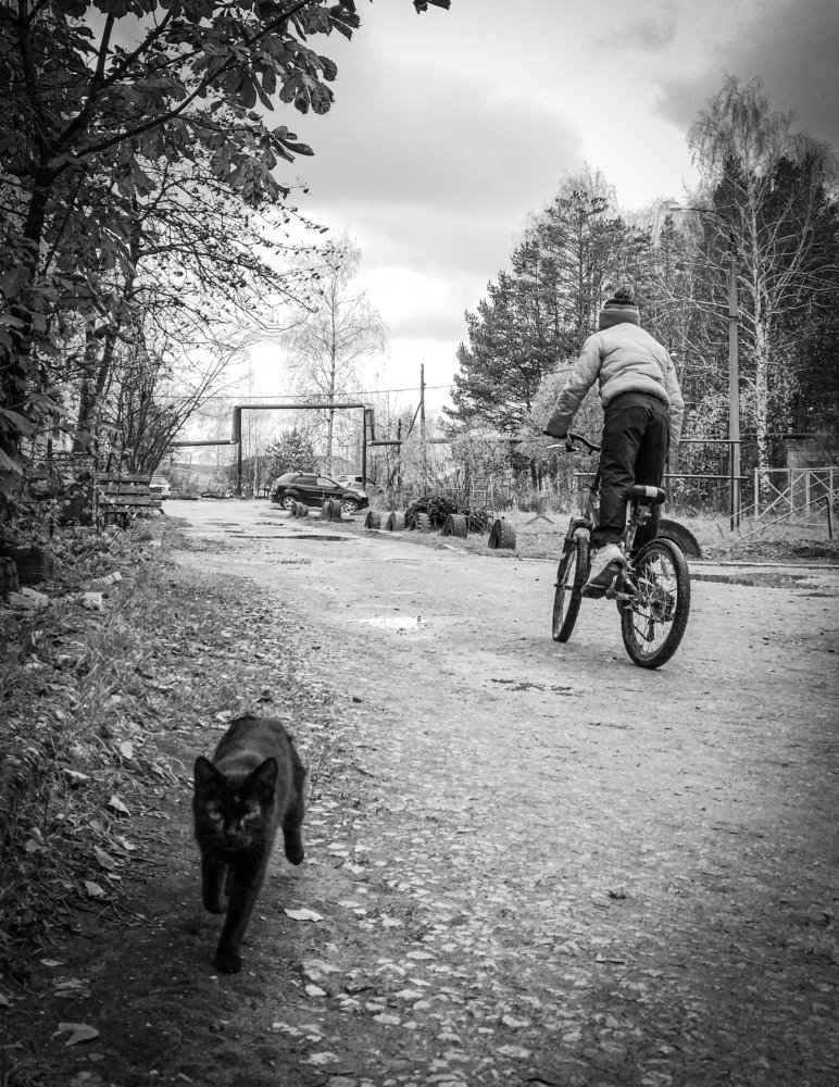 Photograph by Камила Гюндогар