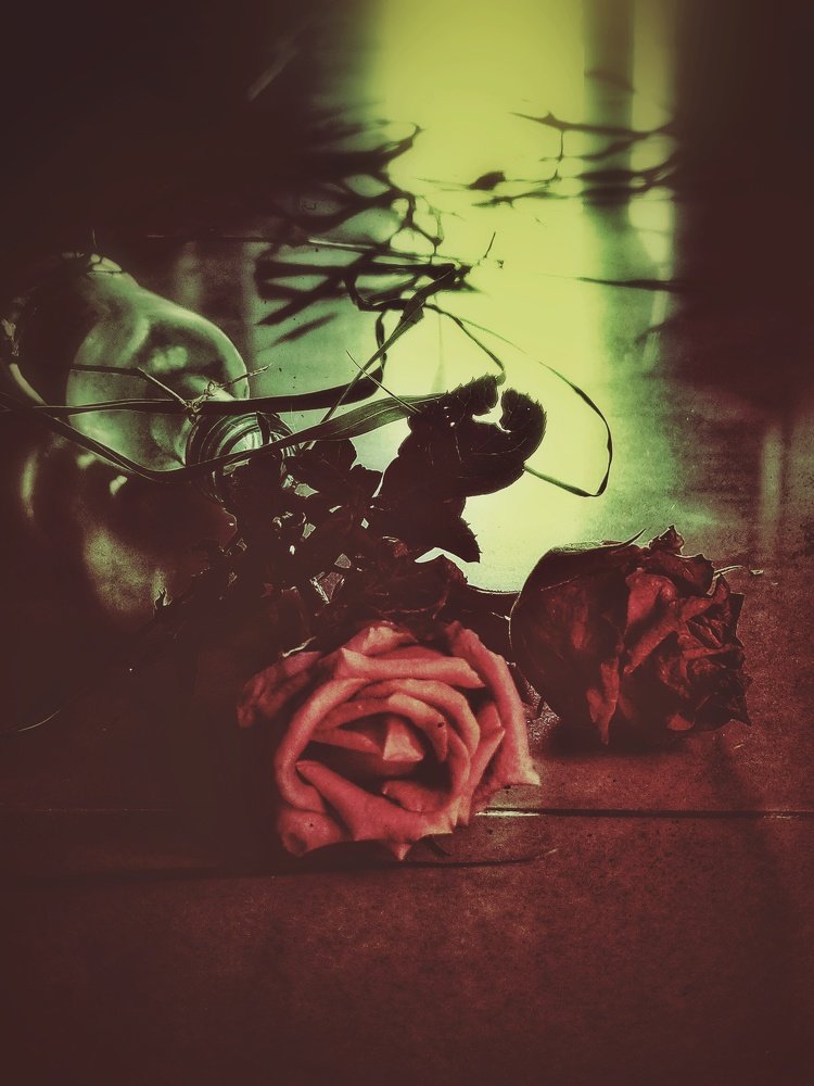 Photograph by Suresh Kandukuri