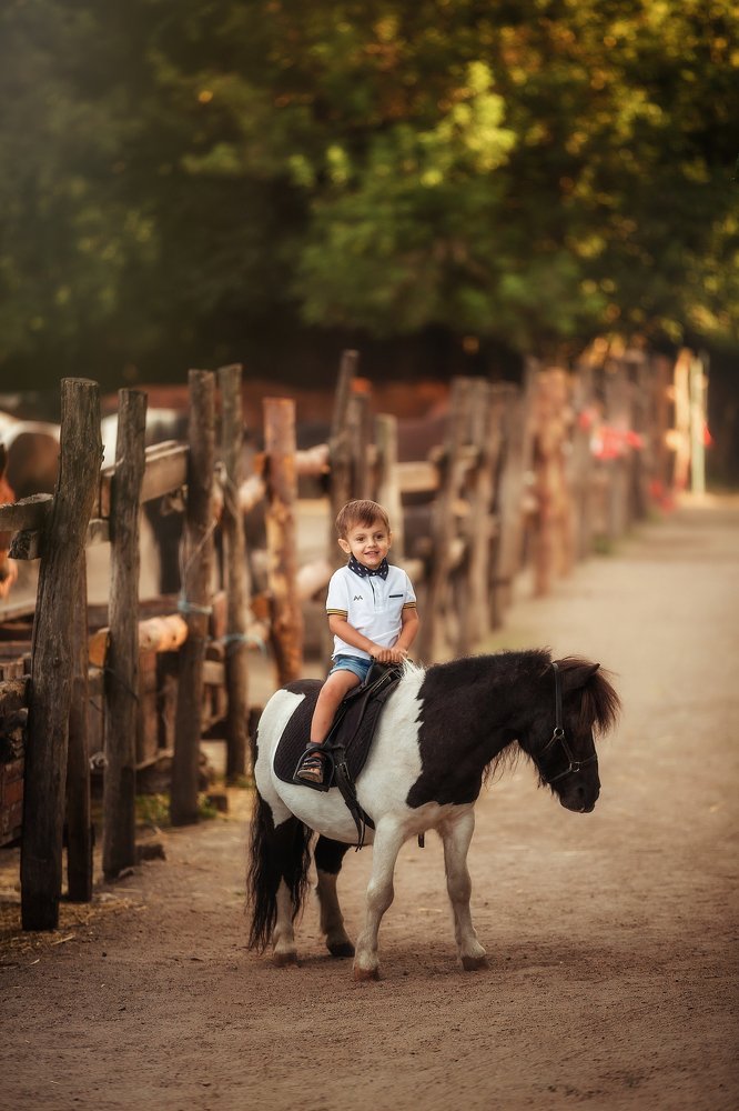 Photograph by Сергей Шкрябий