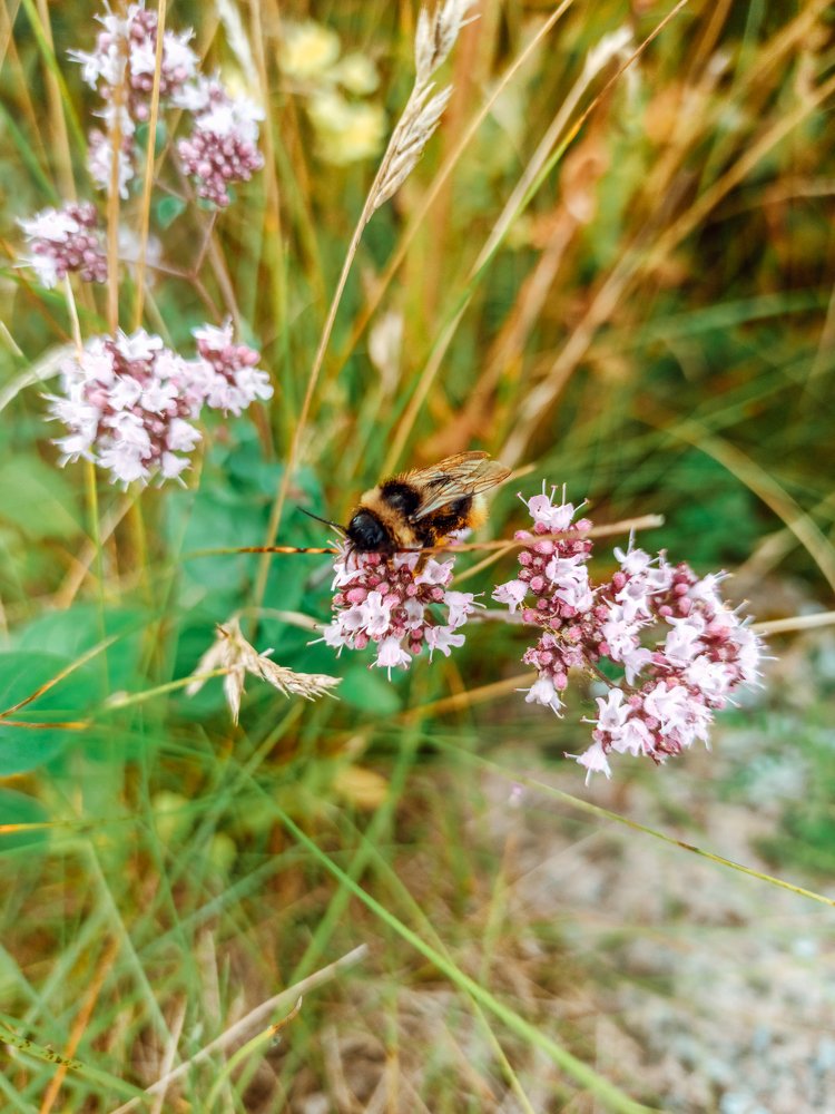 Photograph by Нестерова Карина