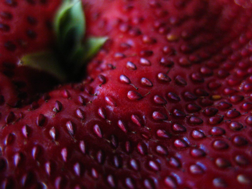 Photograph by Яна Кисловская