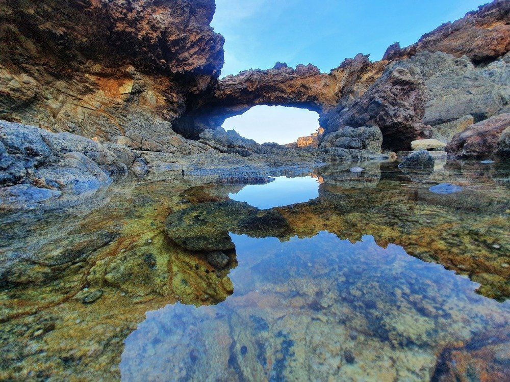 Photograph by Jeannette Beaumont