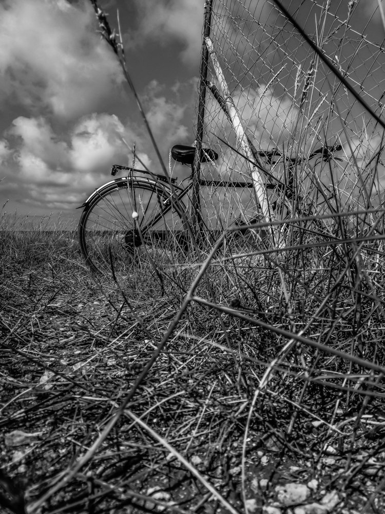 Photograph by Alessandro Comito