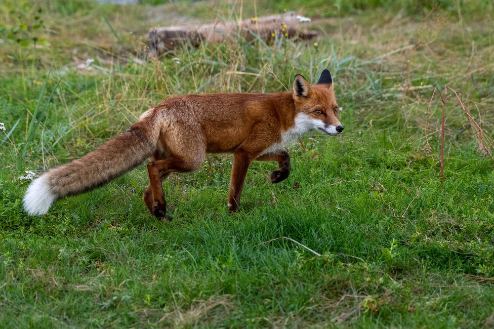 Photograph by Дмитрий Ильин