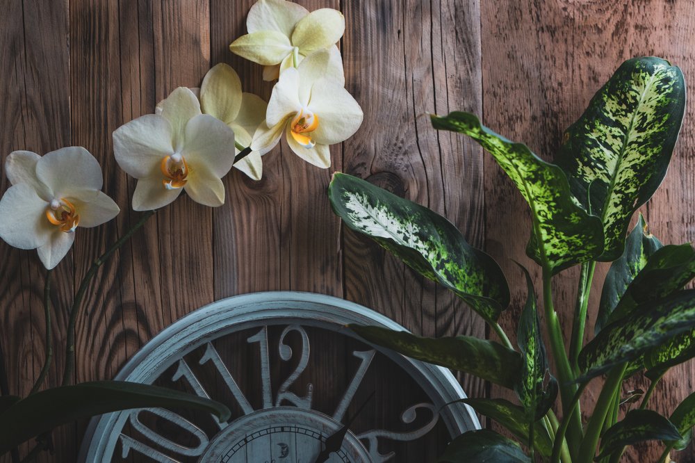 Photograph by Андрей Серый