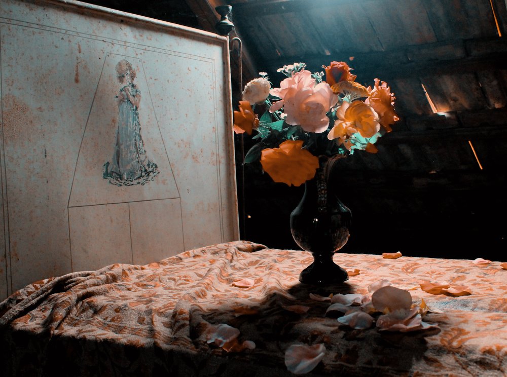 Photograph by Lucia K