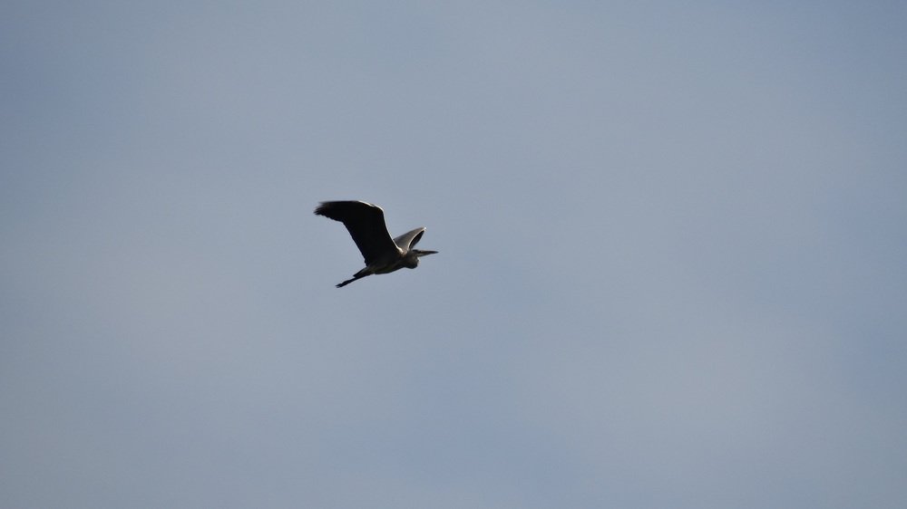 Полет над Окой.