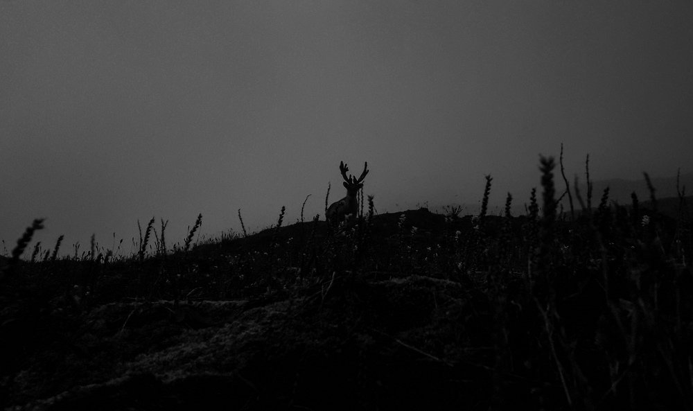 Photograph by Maksym Kolenkov