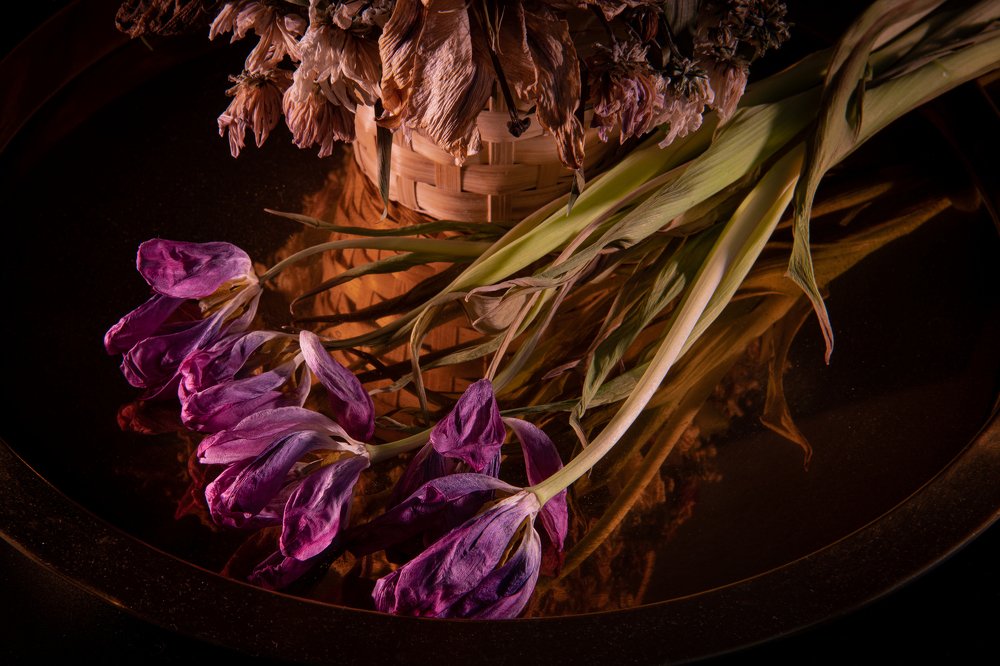 Фотография автора Екатерина Лапаева