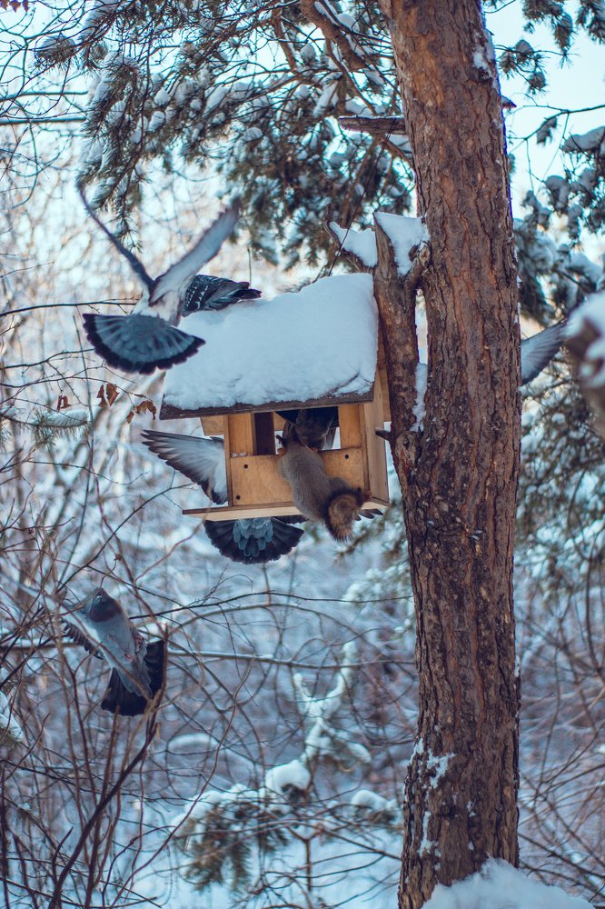 Photograph by Лазарева Анна Игоревна