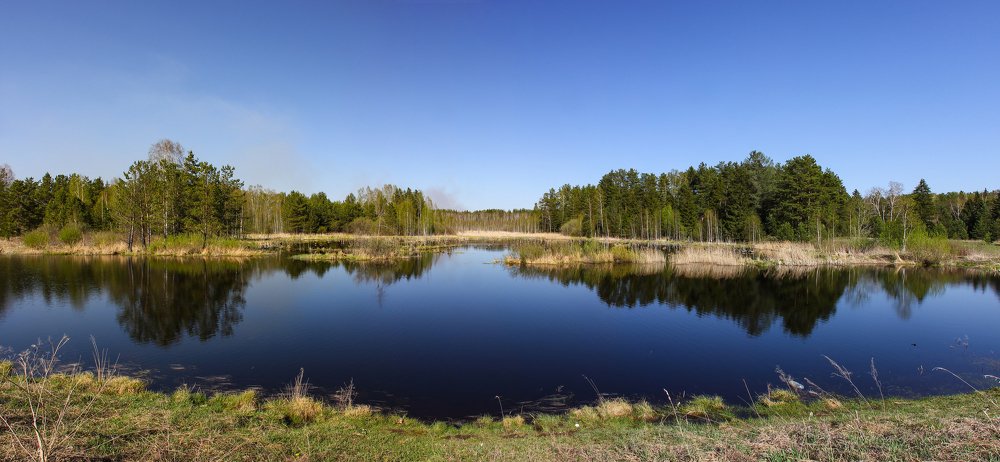 Photograph by Ирина Харлова