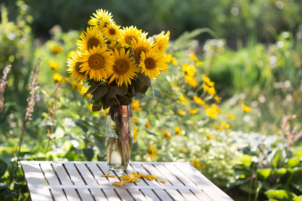 Photograph by Anna Chizh