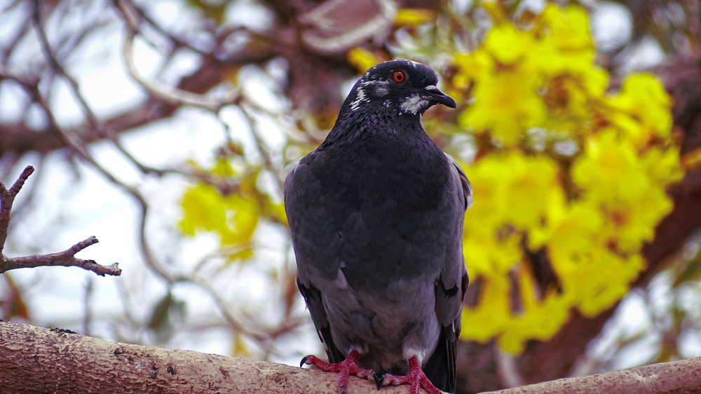 Photograph by Junior rafael Rodriguez enrique