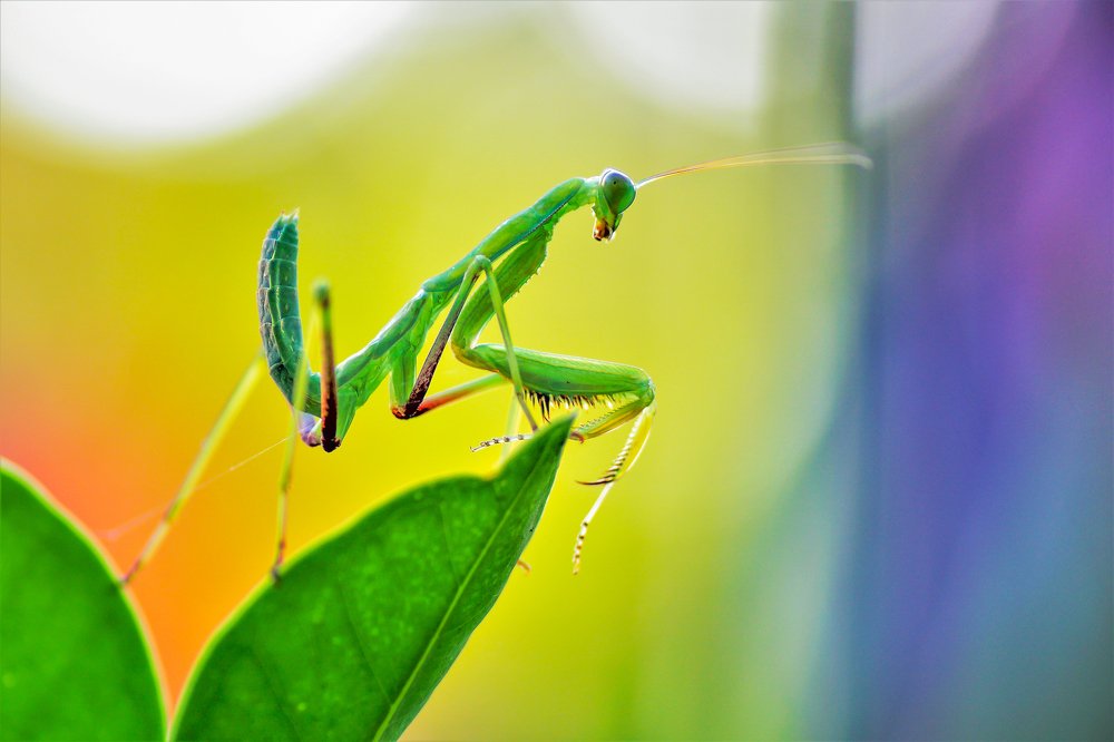 Photograph by Odysseas Christofides