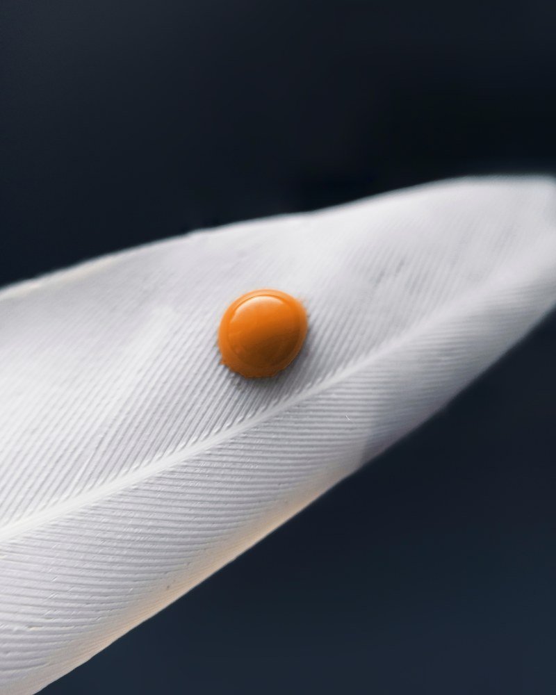 Photograph by Максим Лапин