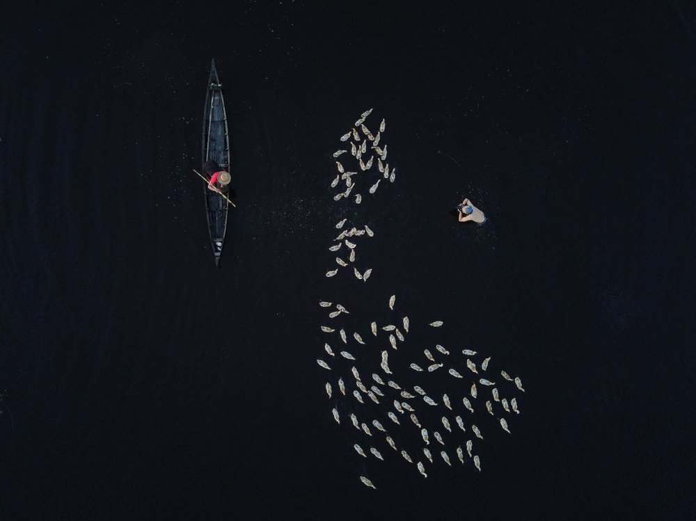 A photographer's action