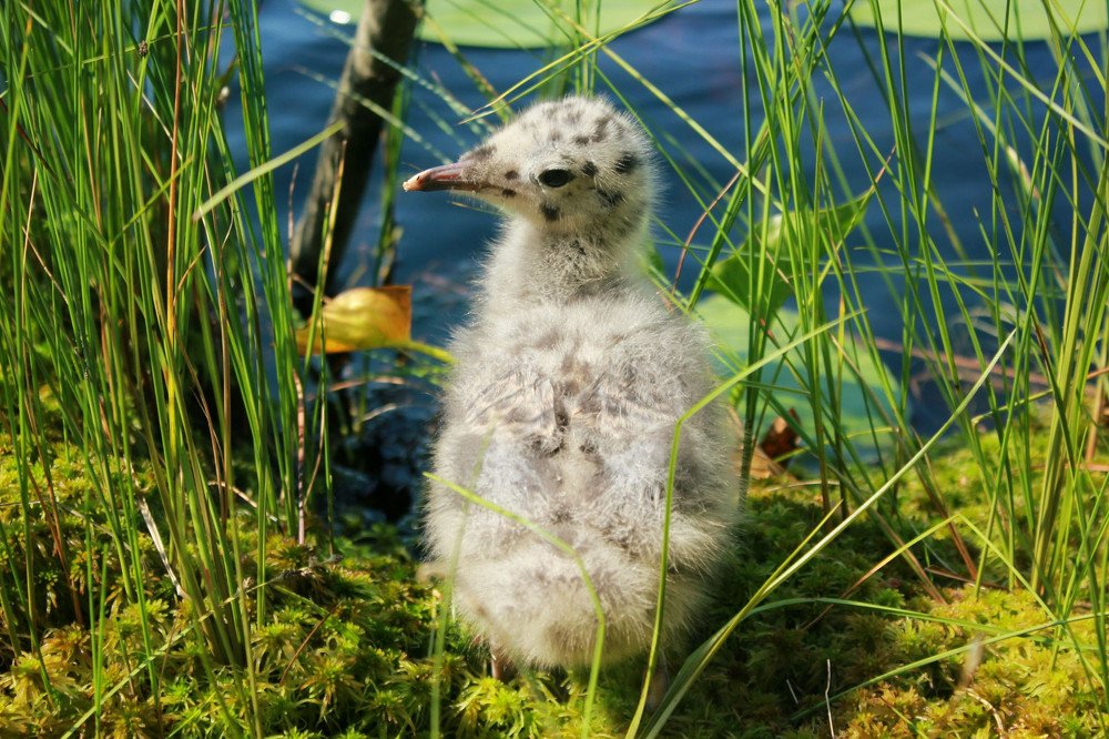 Photograph by Екатерина Григорьева