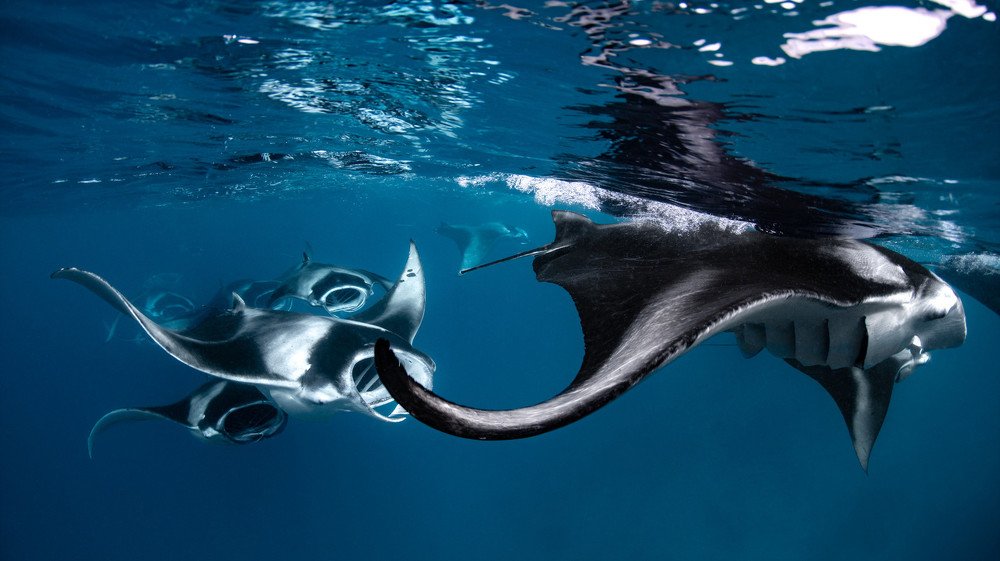 Photograph by Nashiu Ali